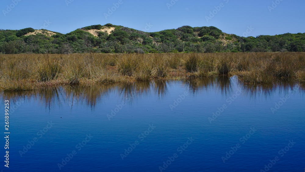 Blue water at estuary with wild plants and blue sky