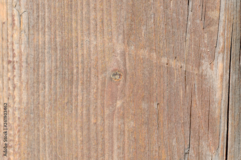 Obraz premium Texture of a wooden surface lit by the sun. Wooden background