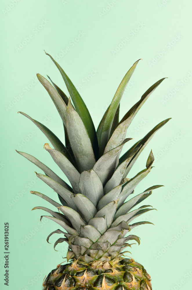 Ripe pineapple with green leaves on a green background. Summer refreshing tropical dietary healthy fruit. Minimal composition. Ripe pineapple with green leaves on a green background. Summer refreshing tropical dietary healthy fruit. Minimal composition.