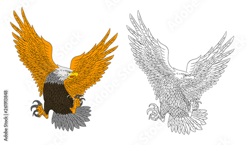 eagle vector clipart