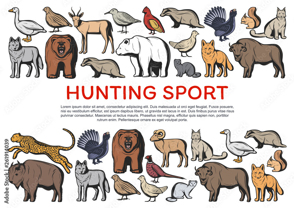 Wild forest animals and birds. Hunting sport Stock Vector | Adobe Stock