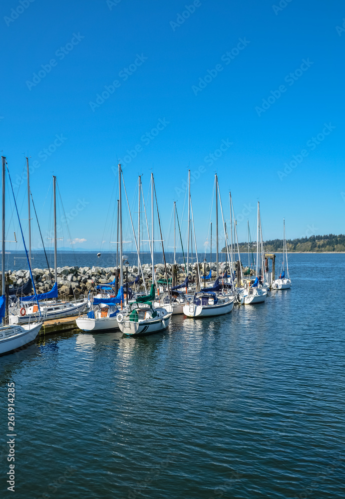 Sailing boats yachts at mooring line on Pacific ocean. Landscape of marine regatta floating in the harbor