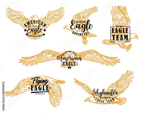 Eagle, hawk or falcon birds with letterings