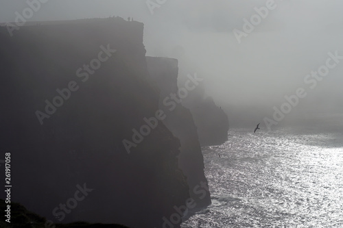 cliffs by the sea in fog