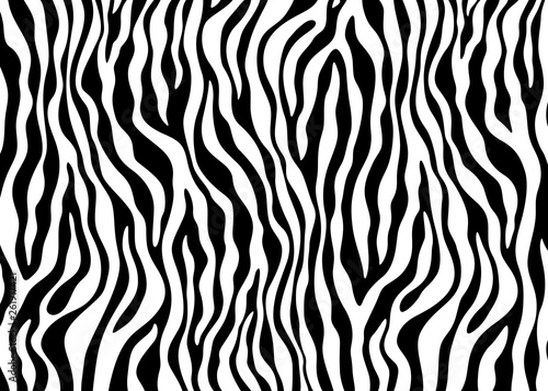 Zebra pattern design. Animal print vector illustration background. Wildlife fur skin design illustration. For web  home decor  fashion  surface  graphic design