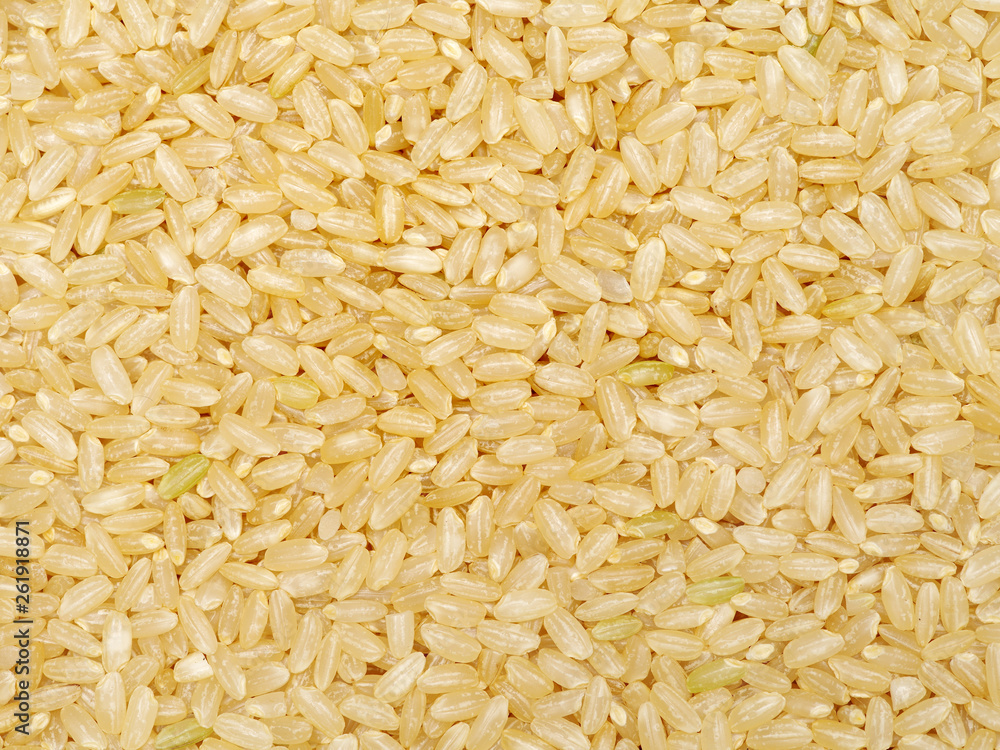 Background of short grain brown rice Background of short grain brown rice
