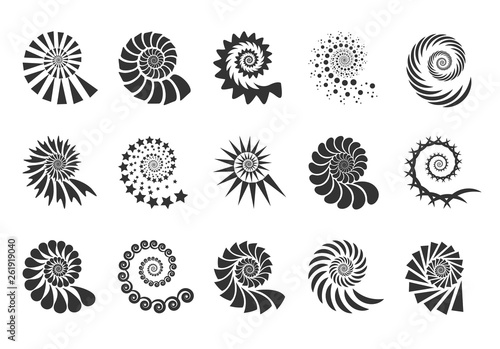 Swirl design element. Spiral icon. Set twisting lines isolated on white background. Seashells vector. photo