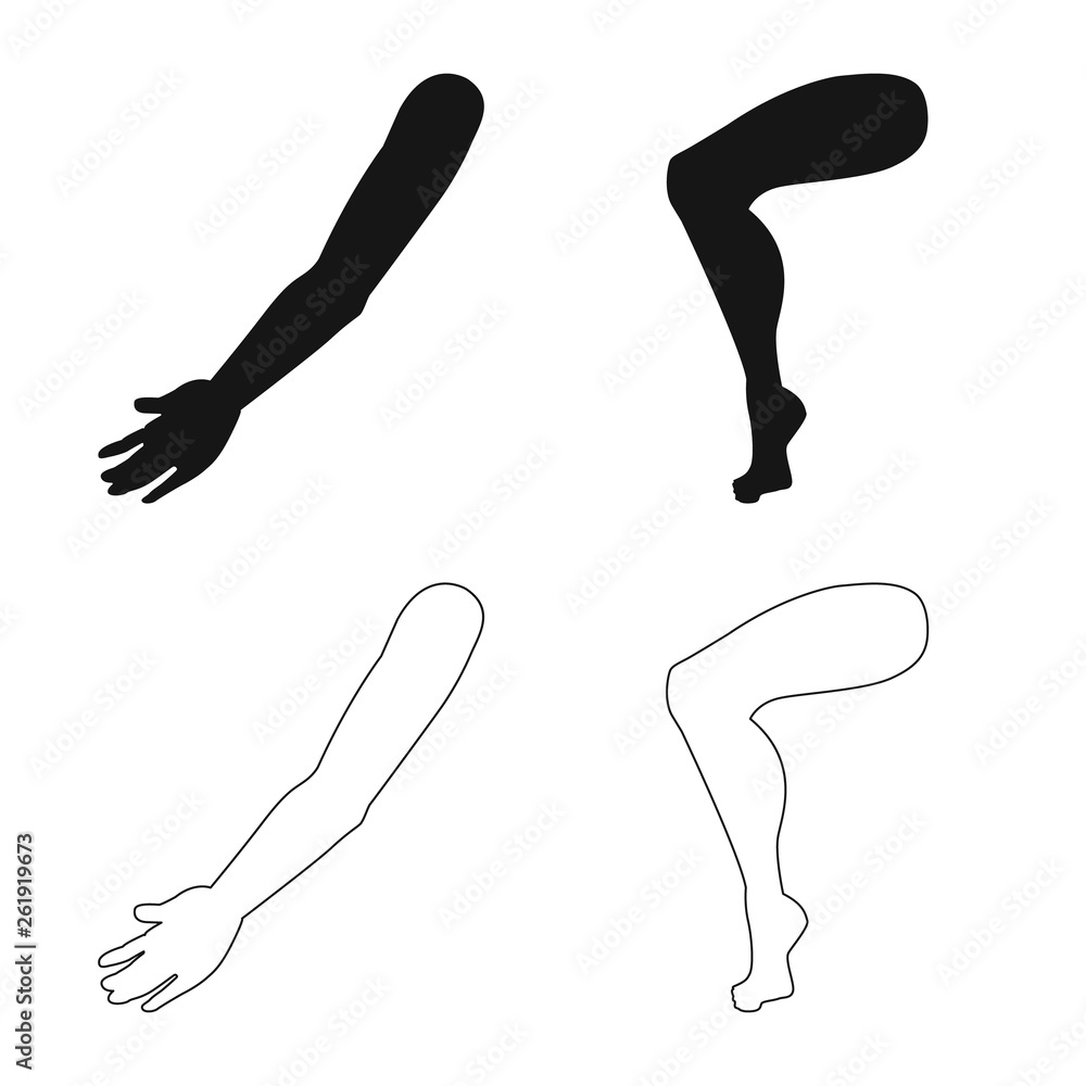 Vector design of body and part sign. Set of body and anatomy vector icon for stock. Vector design of body and part sign. Set of body and anatomy vector icon for stock.