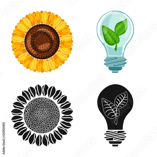 Vector illustration of innovation and technology  symbol. Set of innovation and nature  vector icon for stock.