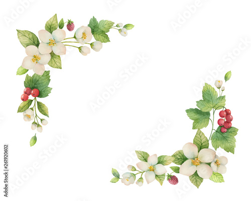 Watercolor vector wreath of Jasmine and red currant flowers.