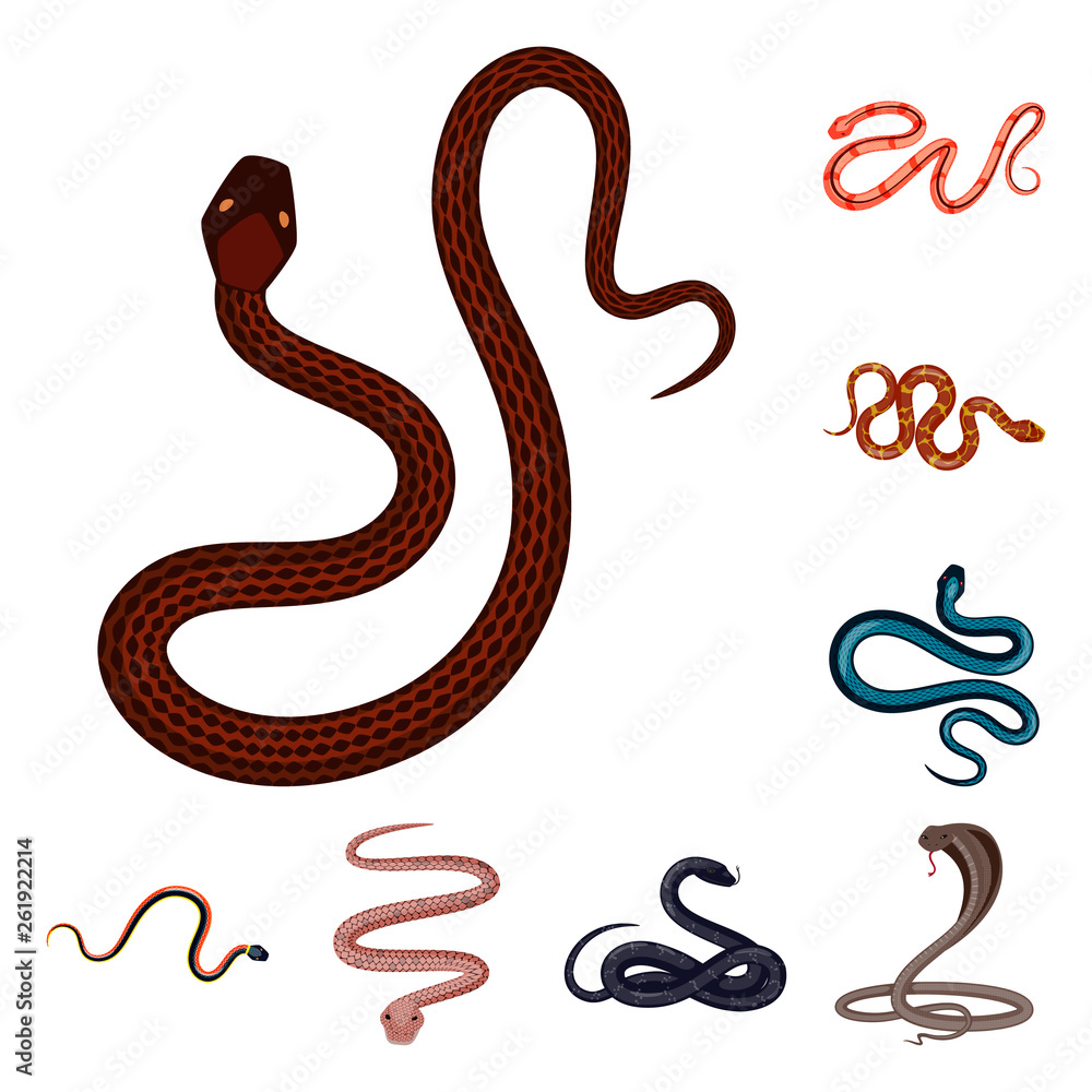 Vector illustration of poison and evil sign. Set of poison and bite vector icon for stock. Vector illustration of poison and evil sign. Set of poison and bite vector icon for stock.