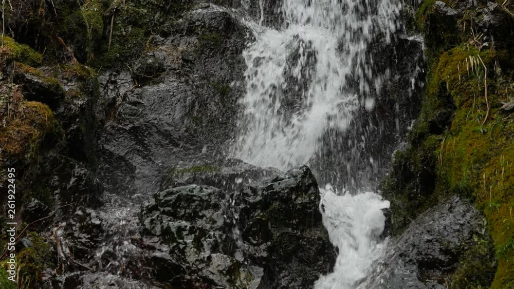 waterfall in forest waterfall in forest