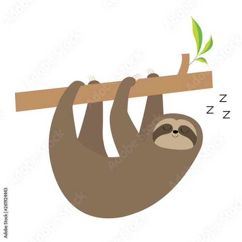 Sleeping sloth hanging on tree branch. Cute cartoon kawaii baby character. Wild jungle animal collection icon. Kids education. Isolated. White background. Flat design.
