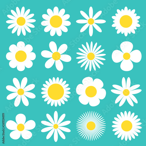 White daisy chamomile icon. Camomile super big set. Cute round flower head plant collection. Love card symbol. Growing concept. Flat design. Green background. Isolated.