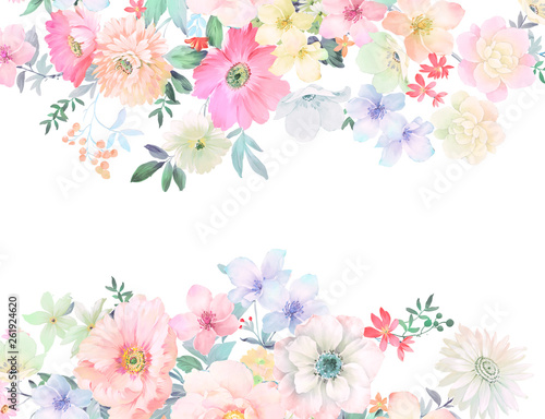 Flowers watercolor illustration