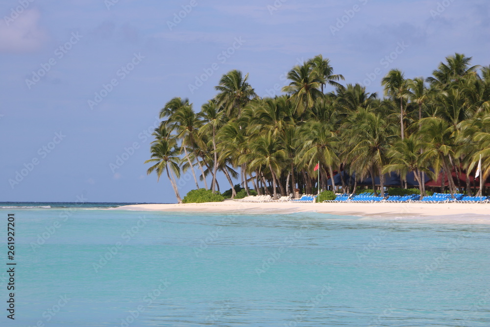 Obraz premium Traumstrand / DomRep / Karibik