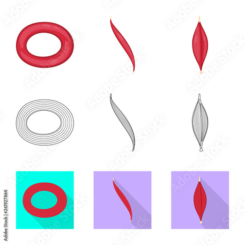 Isolated object of fiber and muscular symbol. Collection of fiber and body  vector icon for stock.