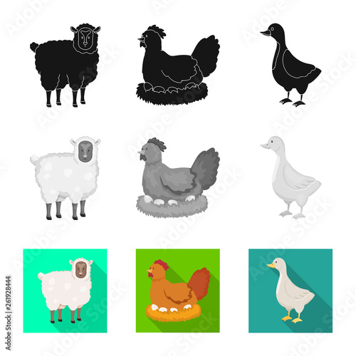 Vector illustration of breeding and kitchen  symbol. Collection of breeding and organic  stock vector illustration. © pandavector