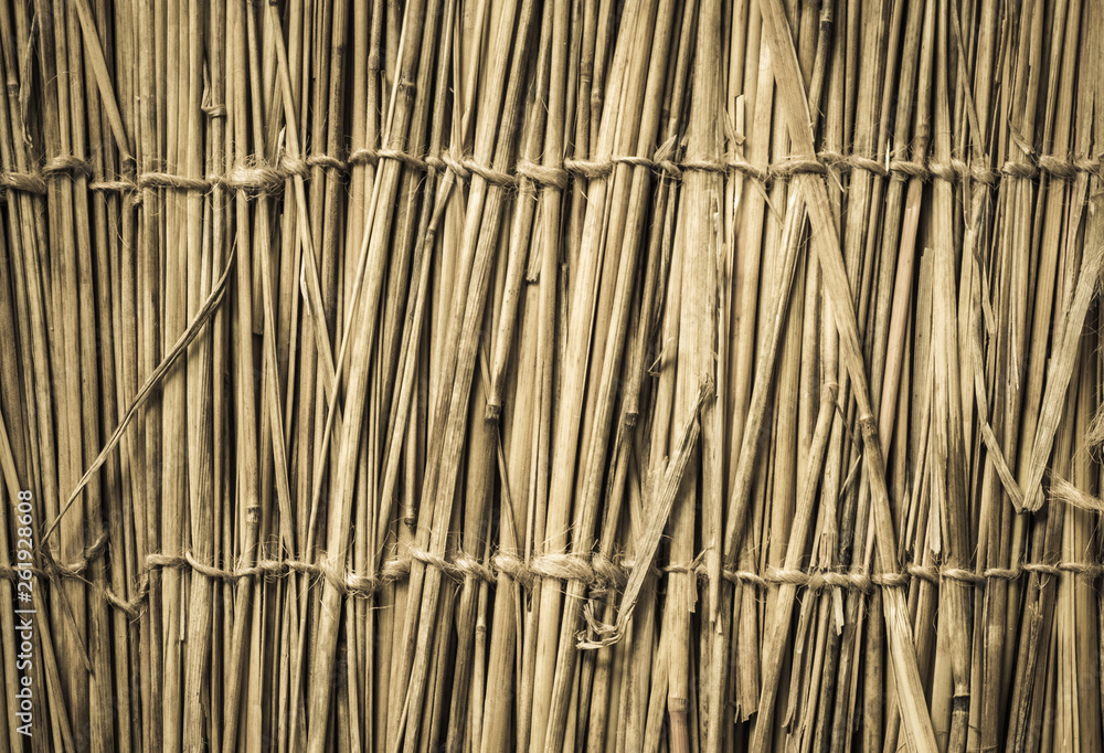 Fototapeta Bardzo szczegółowe tło bambusa. Idealna naturalna tekstura.