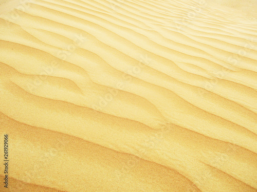 Sand dunes in Sahara desert © TajdarShah