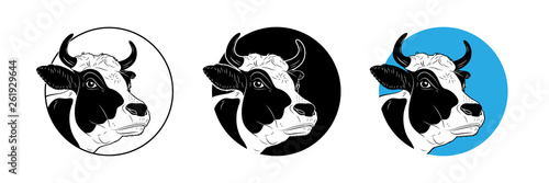 Cow calf bull’s head isolated on white background. Cattle logo. Butchery sign. Vector