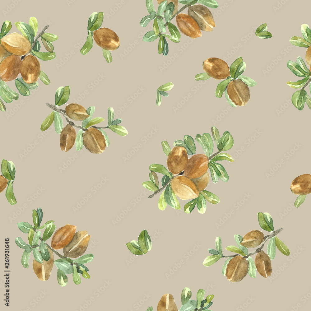 Watercolor pattern of argan nuts and leaves. Watercolor pattern of argan nuts and leaves.