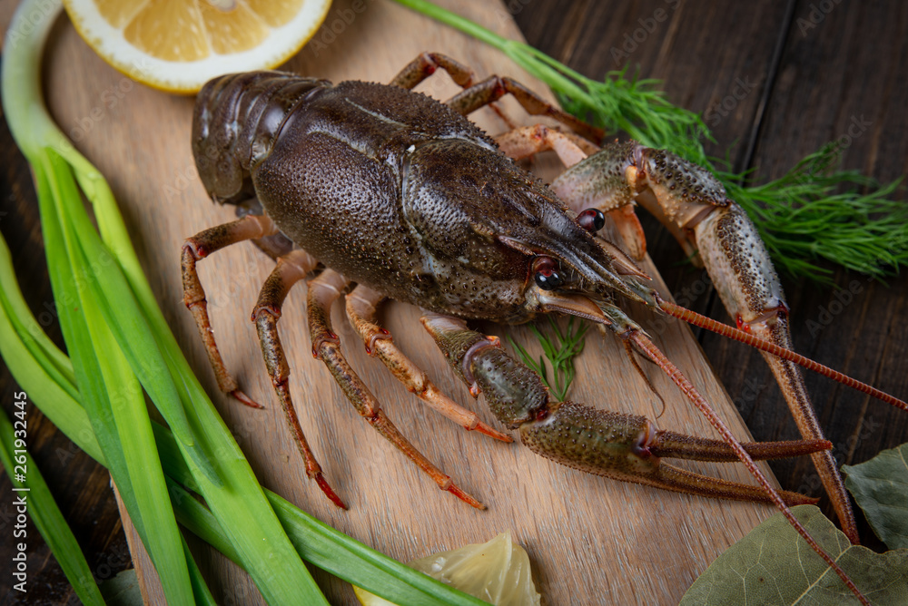 Crayfish. Red boiled crawfishes on table in rustic style, closeup. Lobster closeup. Crayfish. Red boiled crawfishes on table in rustic style, closeup. Lobster closeup.