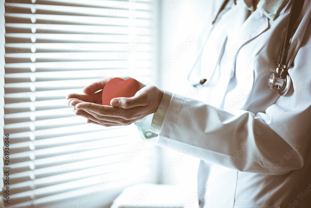 Obraz premium Close up of unknown female doctor with stethoscope holding heart near the window in hospital