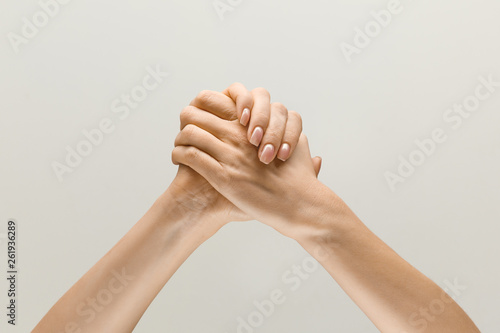 Wallpaper Mural Win together. loseup shot of male and female holding hands isolated on grey studio background. Concept of human relations, friendship, partnership, family. Copyspace. Torontodigital.ca