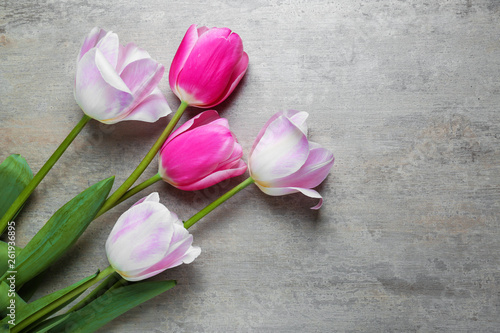 Fototapeta Naklejka Na Ścianę i Meble -  Beautiful tulip flowers on grey background