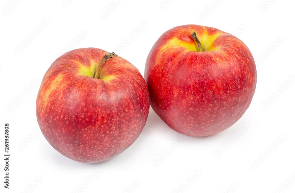 Red apples on a white background
