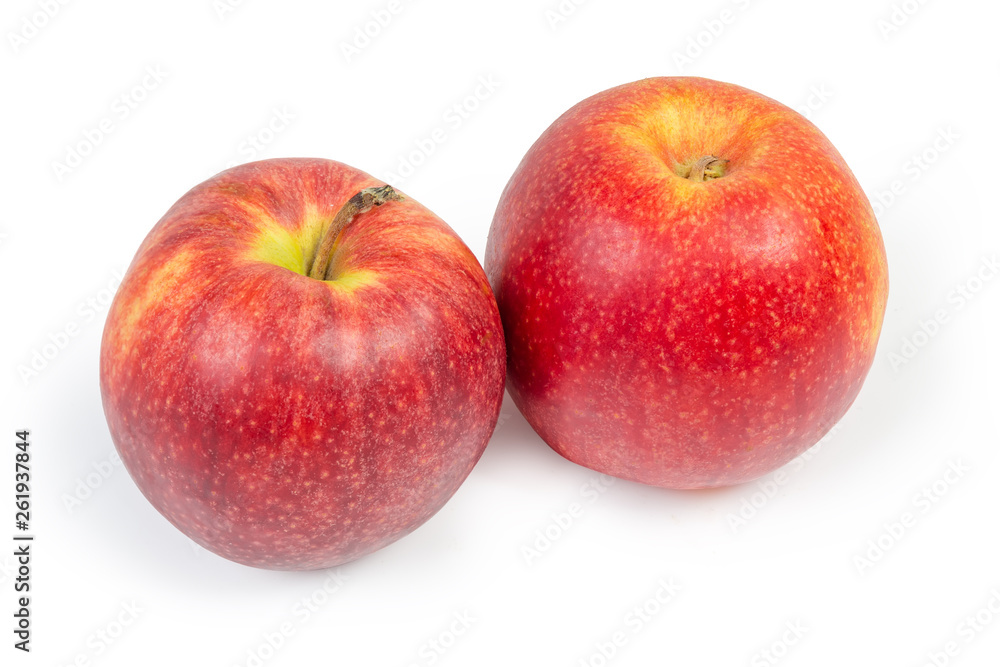 Red apples on a white background Red apples on a white background