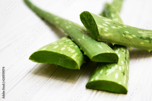 Aloe sliced, isolated on a white background