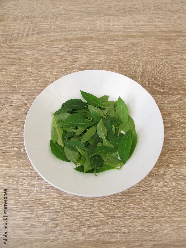 Frische Goji Blätter auf einem Teller