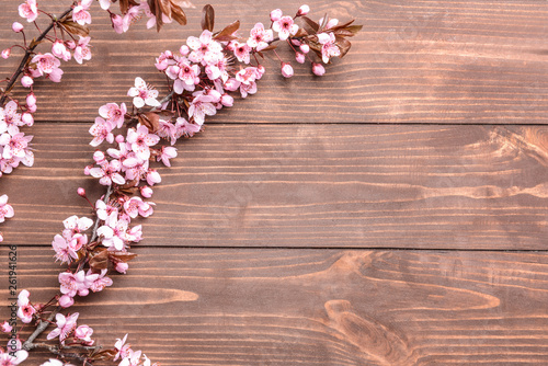 Beautiful blossoming branches on wooden background