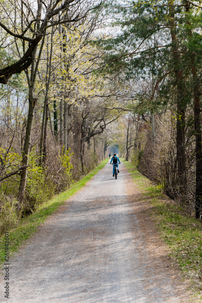 sporty woman riding a bicycle along a dirt path through a beautiful spring time colorful forest