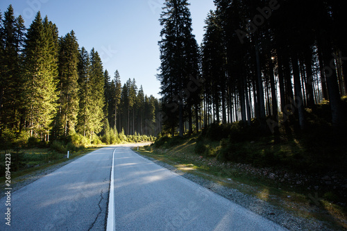 Obraz na płótnie Desolate road through healthy spruce forest in the morning sunshine. w salonie
