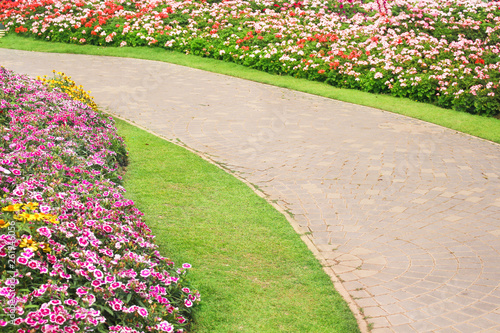 Landscaped garden background , concrete walkway , green grass and colorful ornamental flowers blooming,