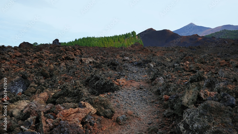 Volcanic path through the rough arid landscape of Chinyero Special Natural Reserve, a lava territory with scarce vegetation and visible traces of the last eruption in Tenerife, Canary Islands, Spain