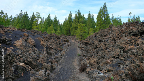 Volcanic path through the rough arid landscape of Chinyero Special Natural Reserve, a lava territory with scarce vegetation and visible traces of the last eruption in Tenerife, Canary Islands, Spain photo