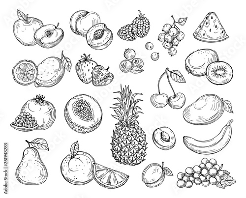Sketch fruits. Strawberry melon, peach mango. Banana pineapple, raspberry grapes hand drawn fruit berry vector set. Illustration of melon and banana, cherry and lemon