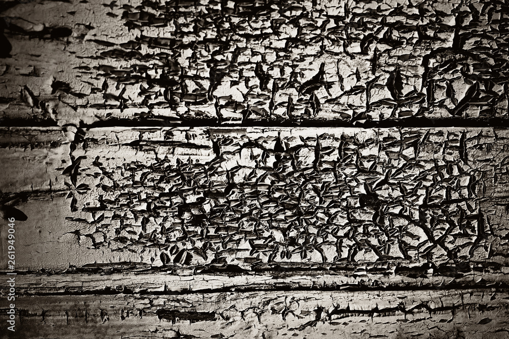 Obraz premium texture, background, old wood, old and dried paint