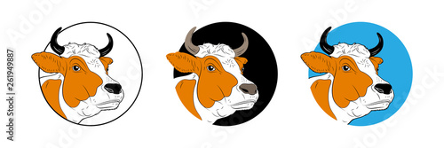Cow calf bull’s head isolated on white background. Cattle logo. Butchery sign. Vector
