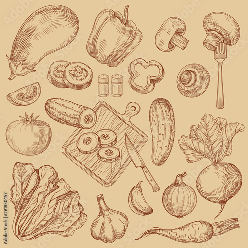 Organic fresh vegetables hand drawn sketch collection. Vector organic fresh vegetable, drawing tomato and eggplant