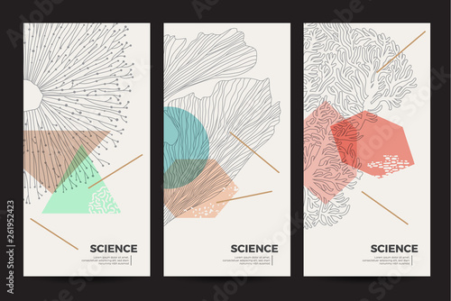 A set of minimalistic templates with natural elements for packaging and decoration of cosmetic products, beauty salons and spa. Graphic linear illustration of corals, algae and jellyfish
