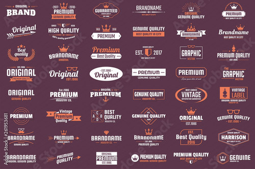 Vintage Retro Vector Logo for banner