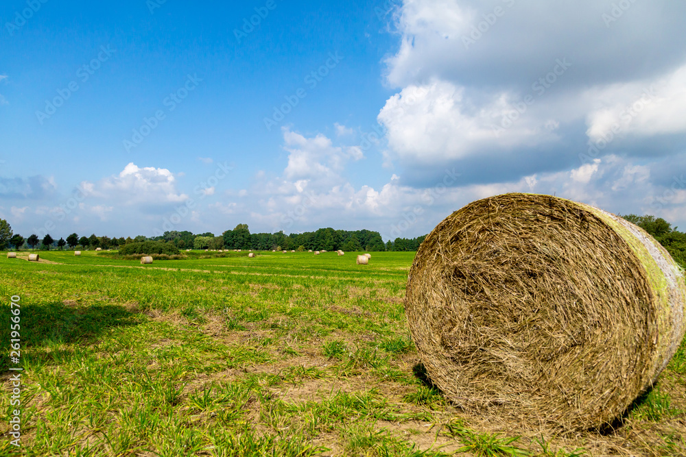 ein Feld mit Strohballen, bei blauem Himmel ein Feld mit Strohballen, bei blauem Himmel