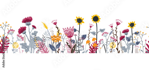 Vector nature seamless background with hand drawn wild herbs, flowers and leaves on white. Doodle style floral illustration.