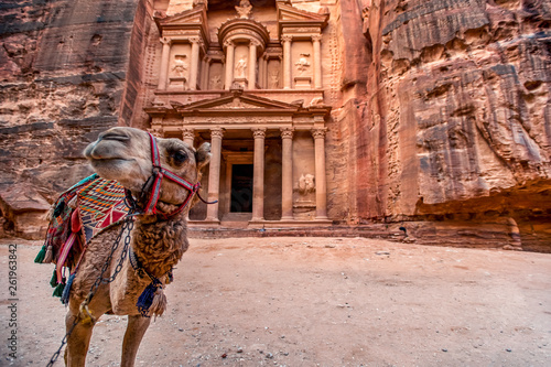 Camel standing in front of the Al Khazneh tomb. The Treasury tomb of Petra, Jordan - Image, selective focus photo