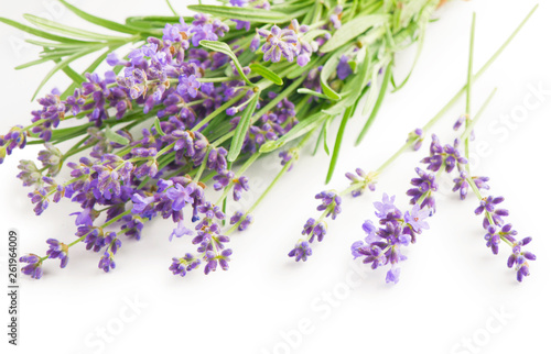 Fototapeta Naklejka Na Ścianę i Meble -  Bunch of Lavender flowers on a white background